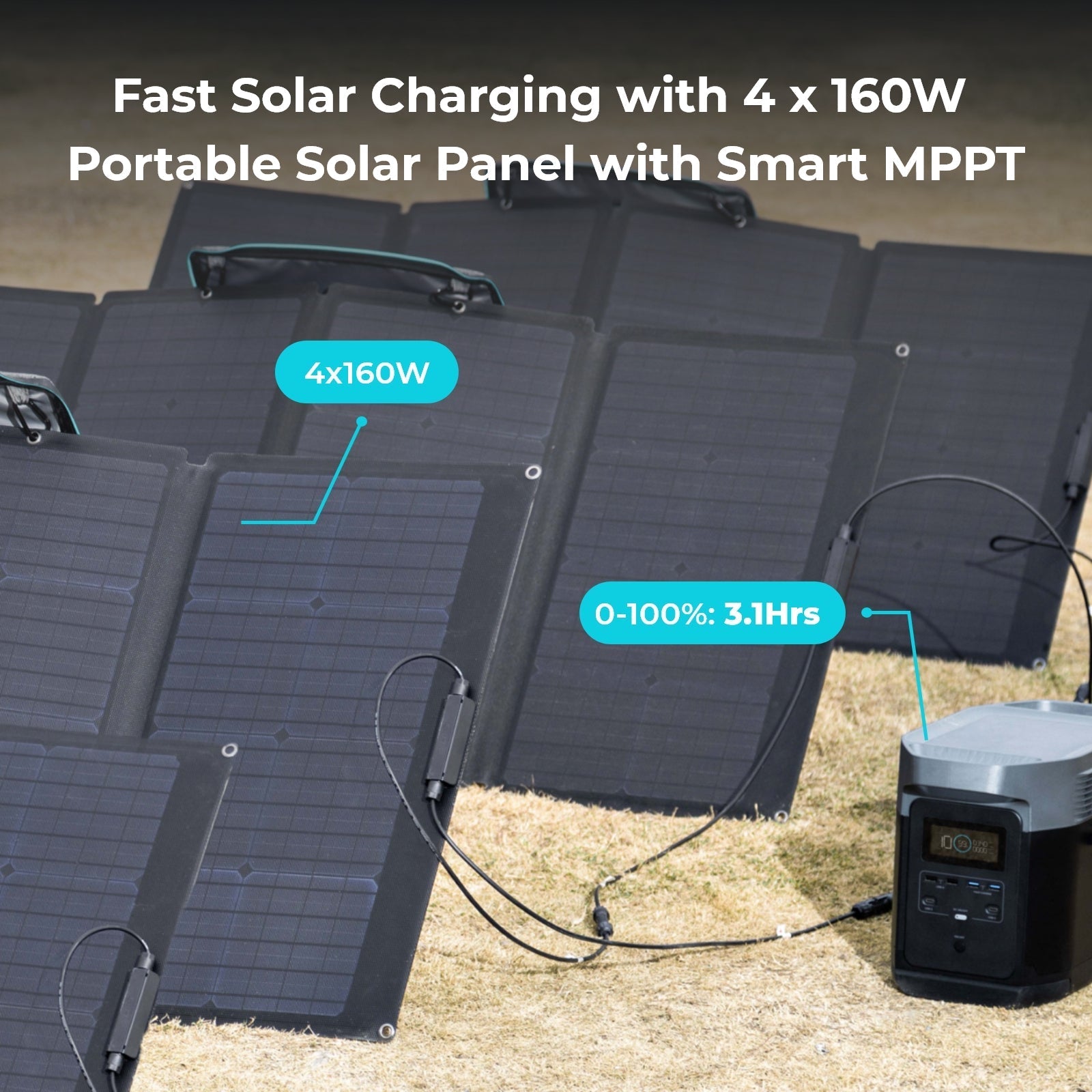 EcoFlow Delta Max Portable Power Station with 160 Watt Solar Panel