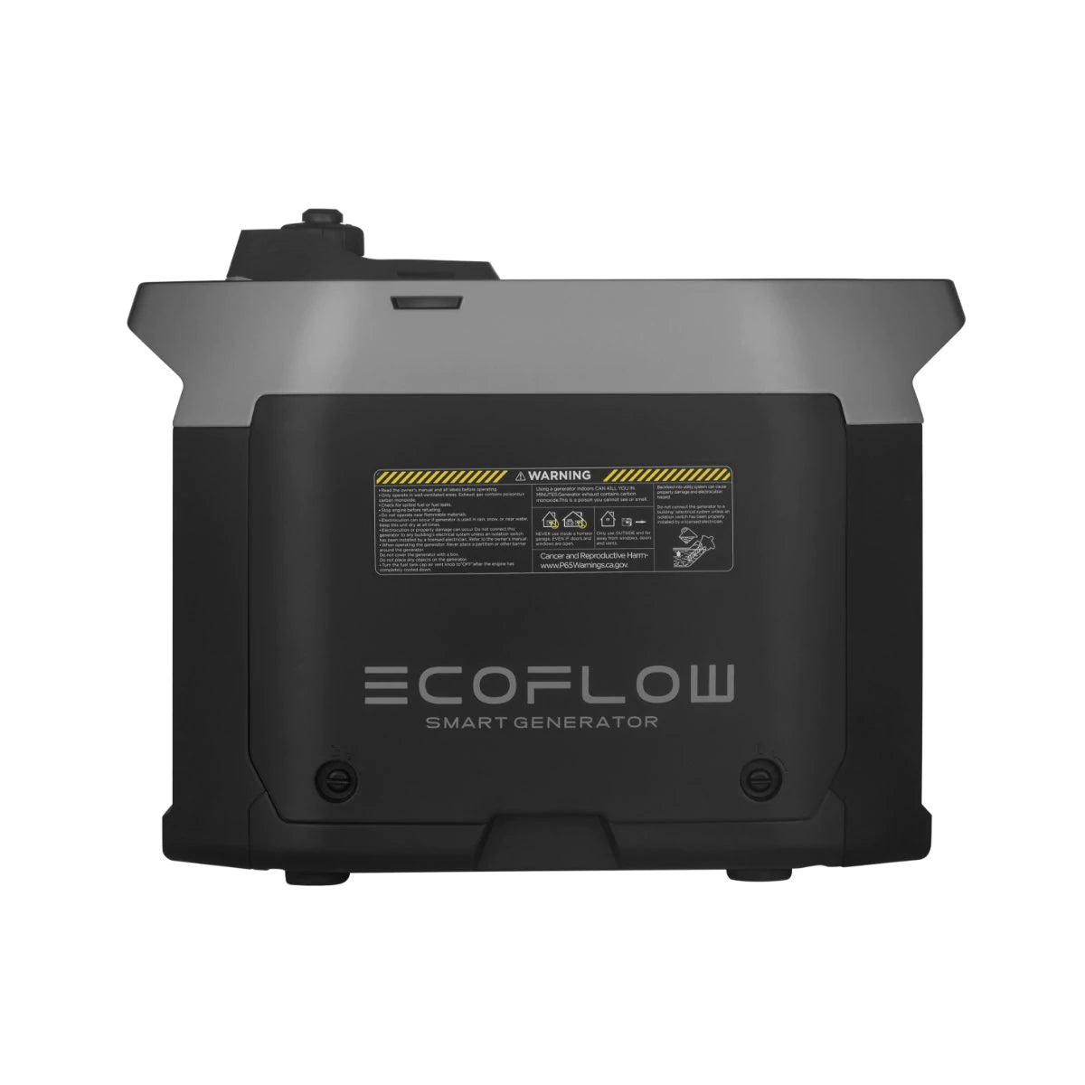 EcoFlow DELTA Pro with Gas Smart Generator and Adapter