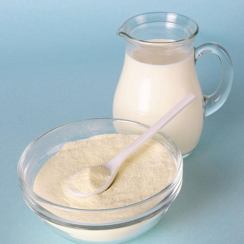 Image of Ready Hour Powdered Whey Milk (93 servings)